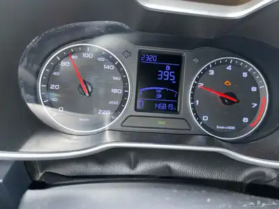 MGzs index