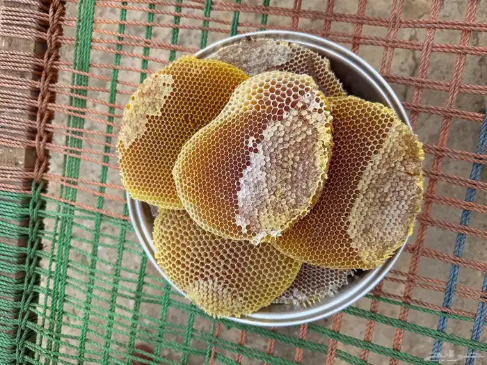 عسل شمع سمره بلدي من نحلي مباشره( انباع) ( انباع ) 3