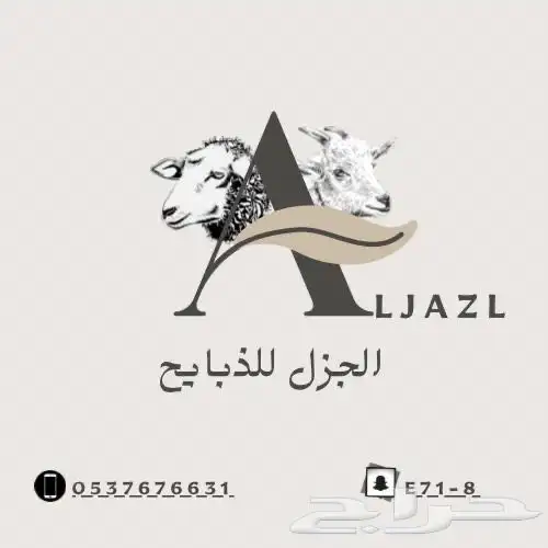 ذبايح اقصاد تابي تمارا مع التوصيل 1