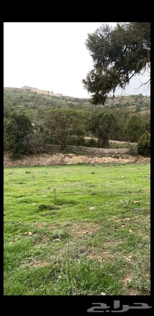 مرشد سياحي ابها 4