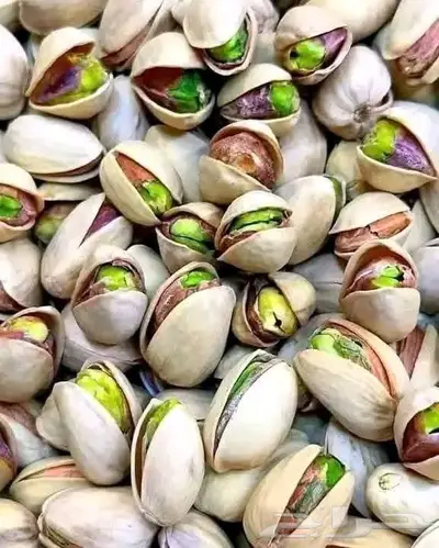 مزارع خبرة بالزراعة 22