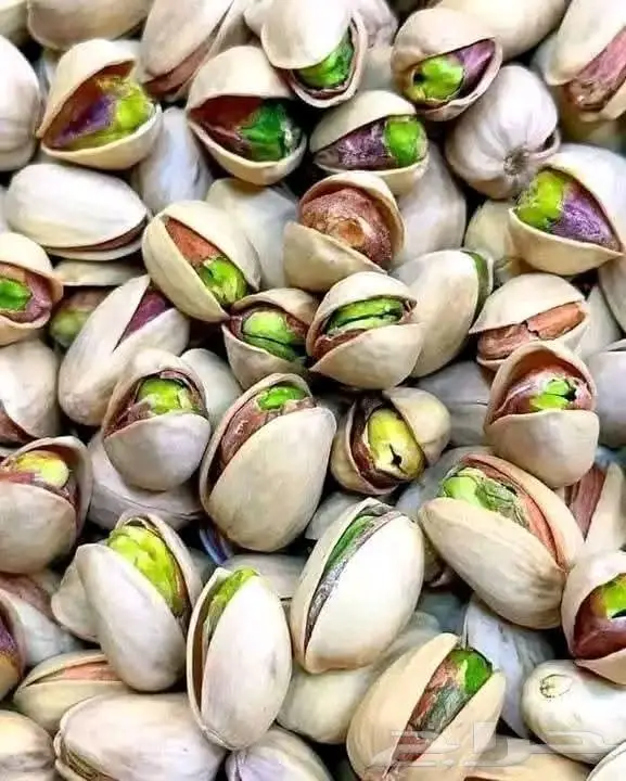 مزارع خبرة بالزراعة 22