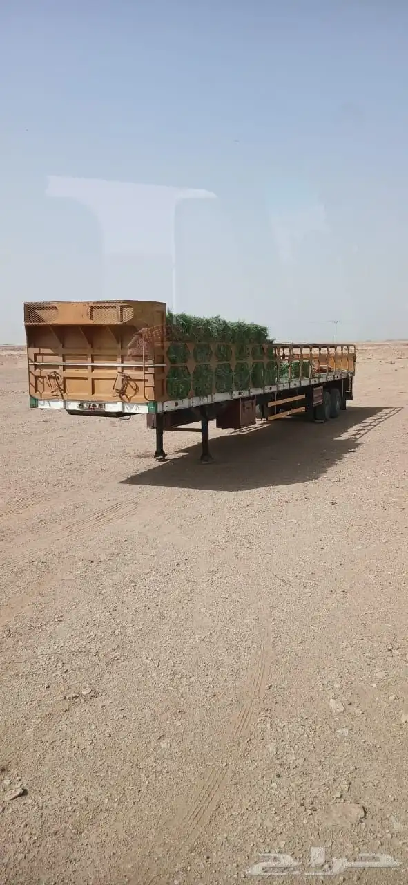تيدر اعلاف للبيع 0
