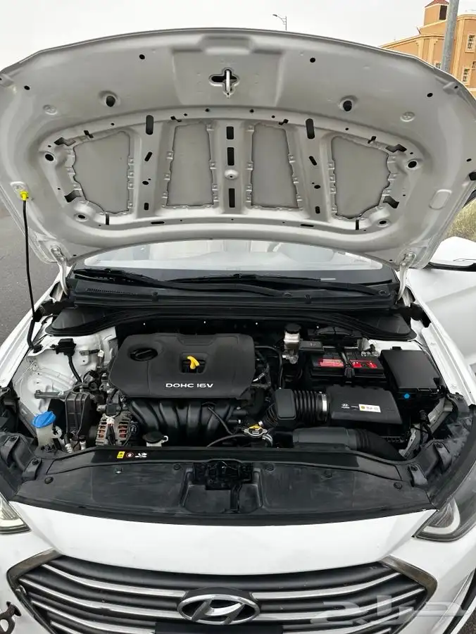 النترا 2017نص فل ثالث مالك 13