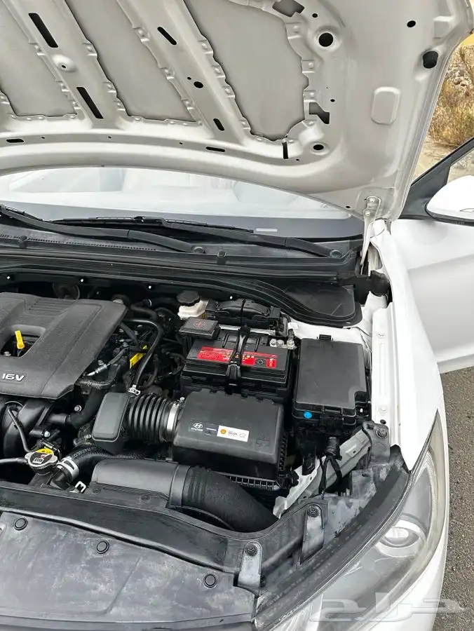 النترا 2017نص فل ثالث مالك 12