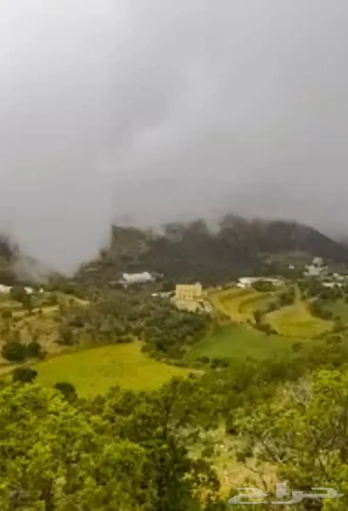 مرشد سياحي ابها 1