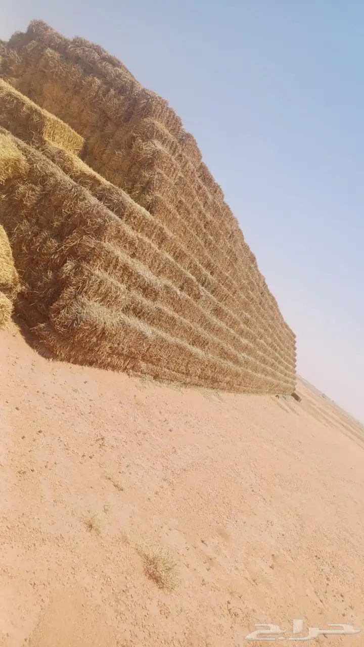 اعلاف للبيع تبن 1