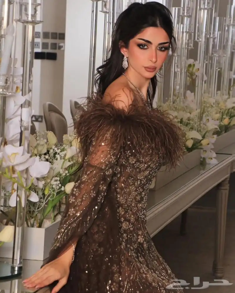 فستان بني ريش 0