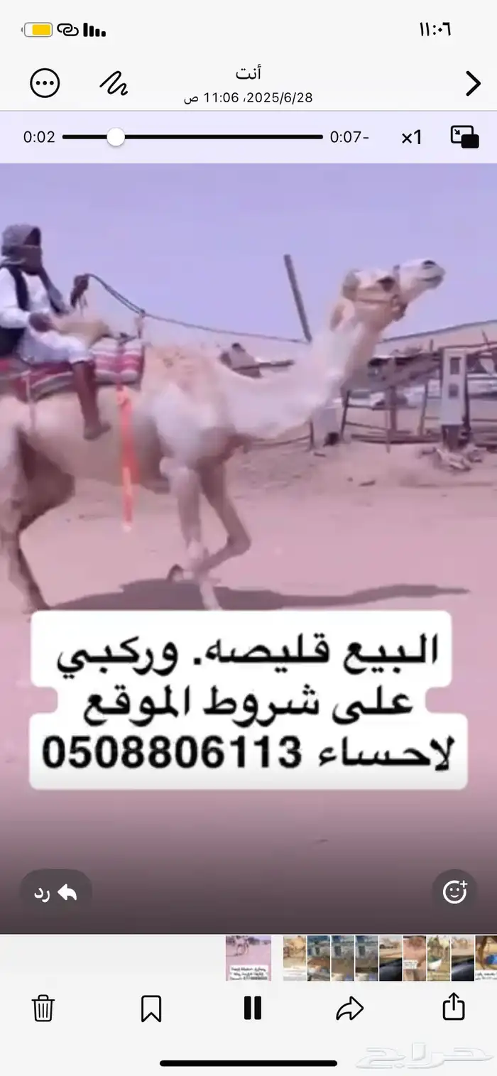 قليصه البيع 0