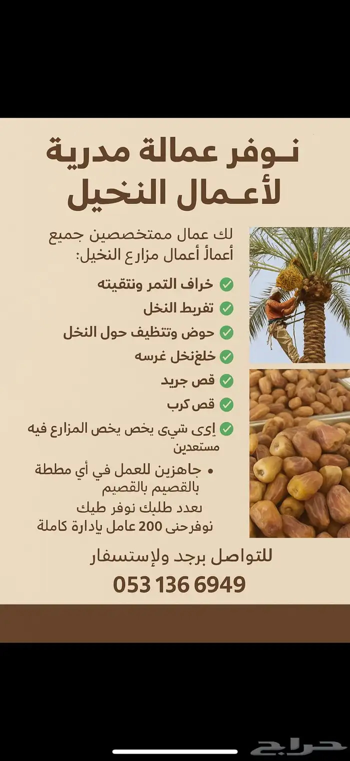 توفر عمالة مدربة لأعمال النخيل 0