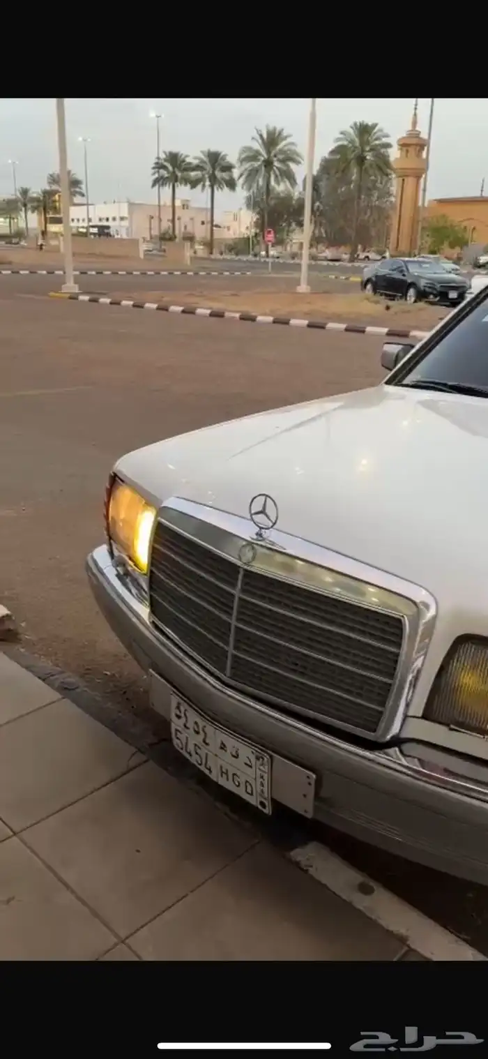 للبيع لوحه 5454 0