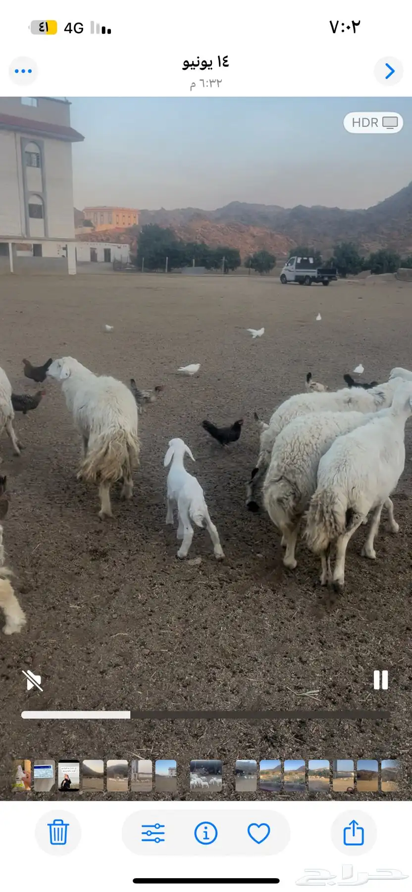 الطايف 3