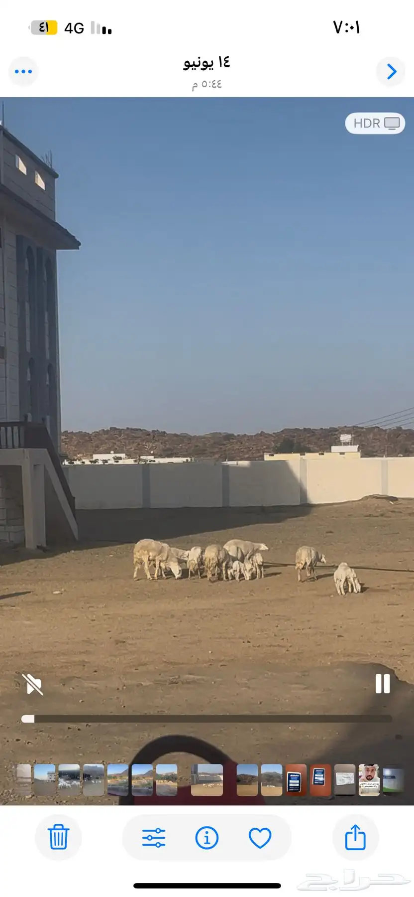 الطايف 7