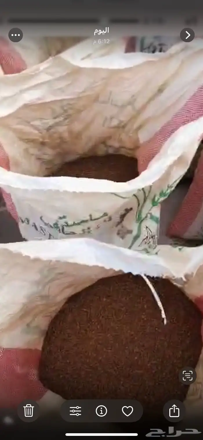 خياش بطحا حايل 2