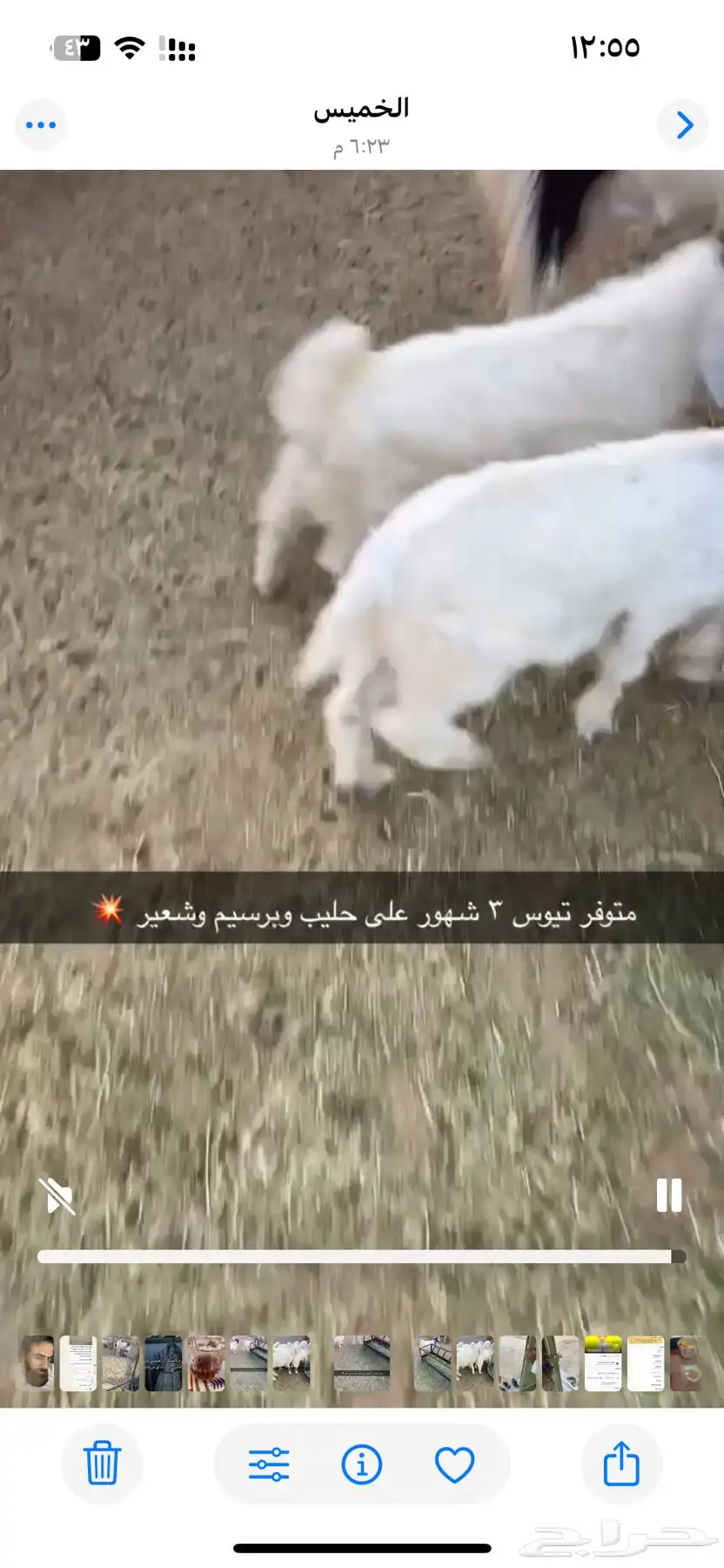 ذبائح 2