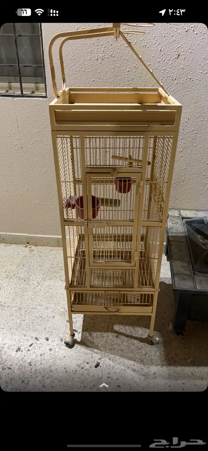 شبك بغبغاء 0