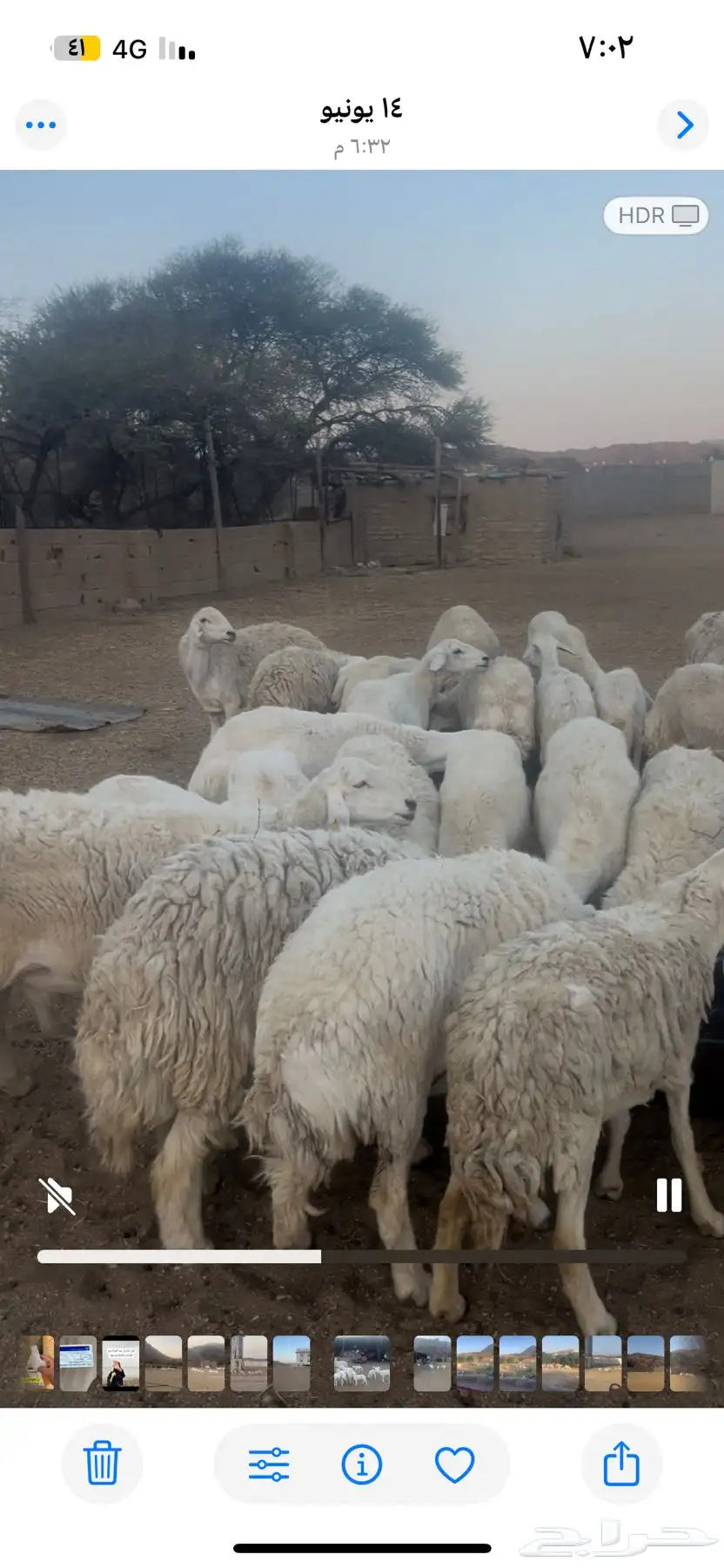 الطايف 0