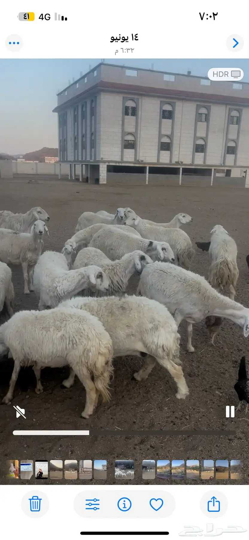 الطايف 2