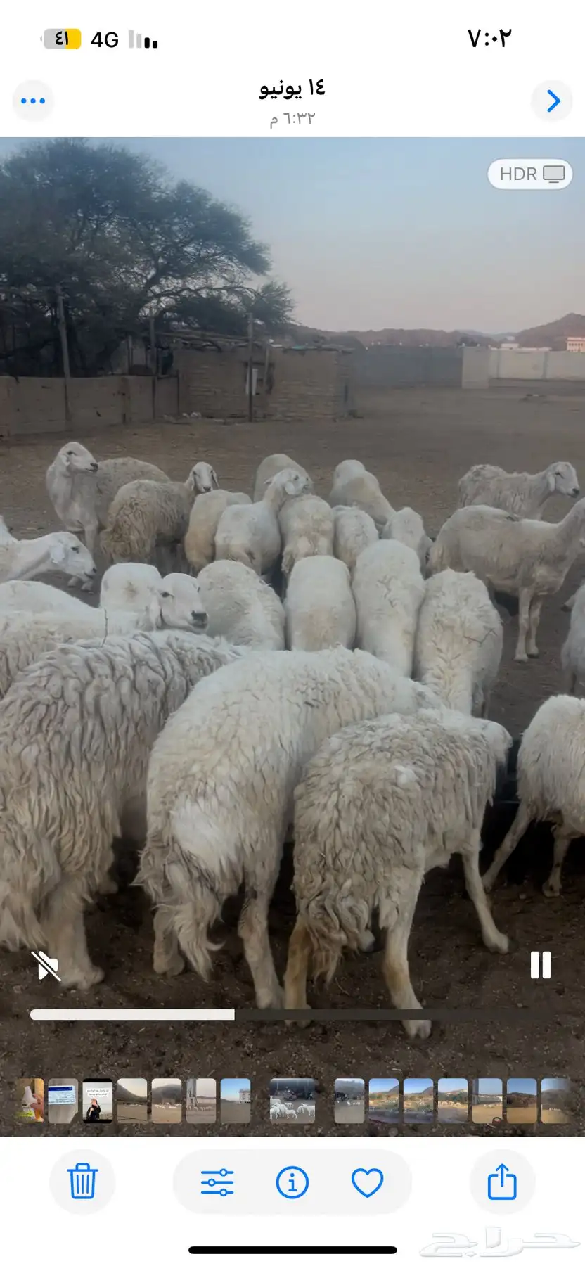 الطايف 1