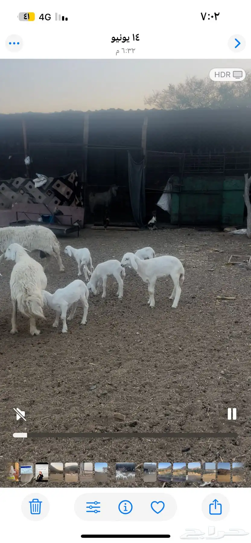 الطايف 4
