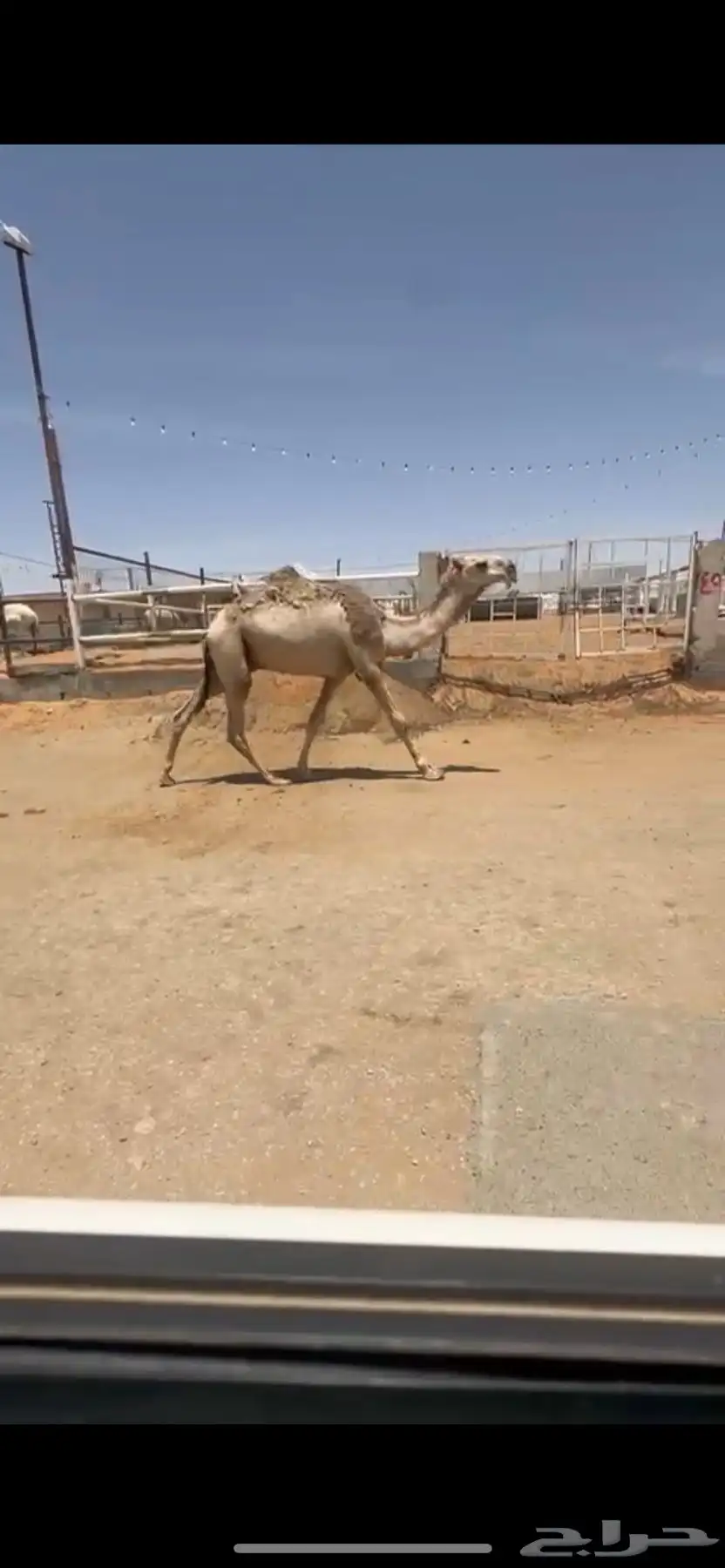 قعود 2