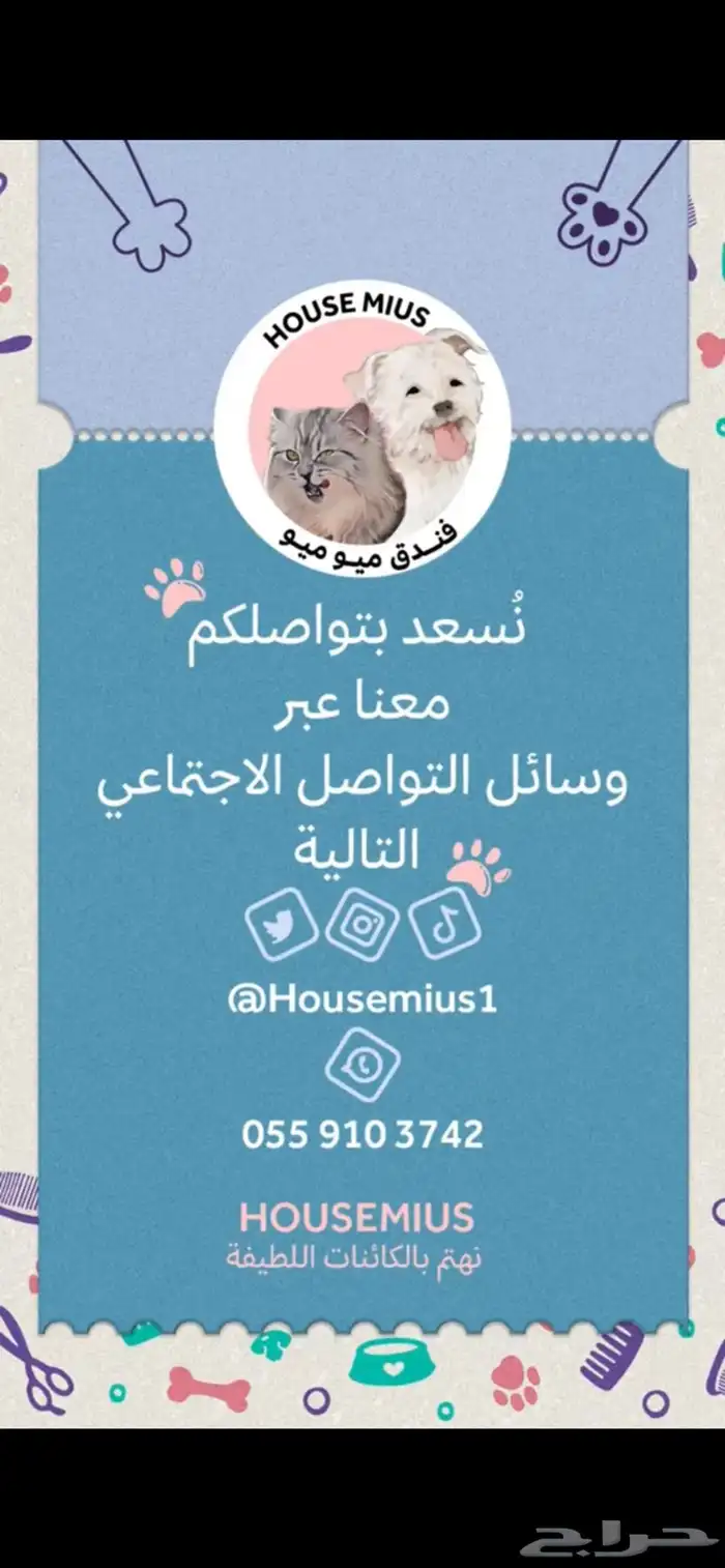 فندقة قطط الشرقية 0