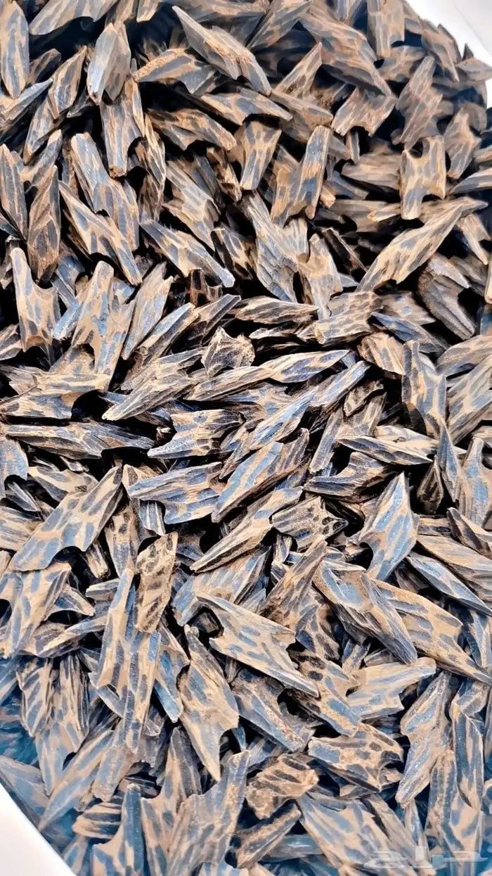 عود تايجر درجه اولى 1