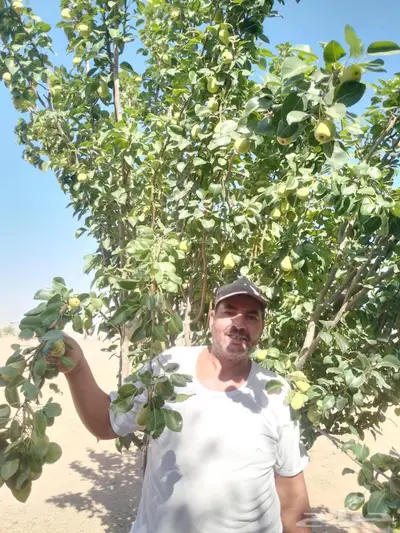 مزارع خبرة بالزراعة 23