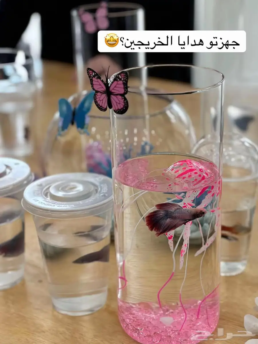 اسماك 1