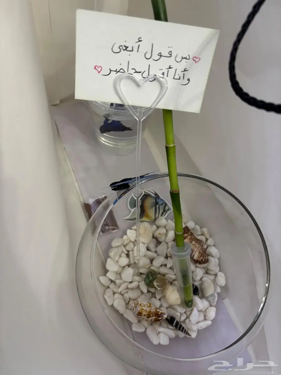 اسماك 12
