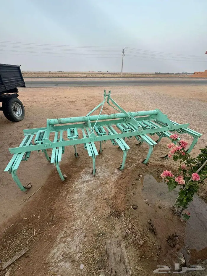 مشط و دسك 1