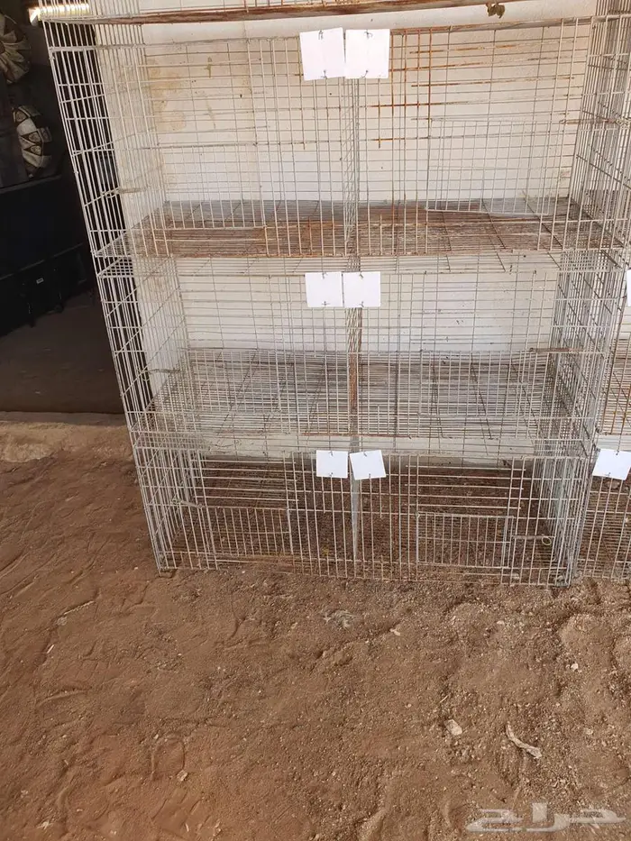 محاكر حمام 1