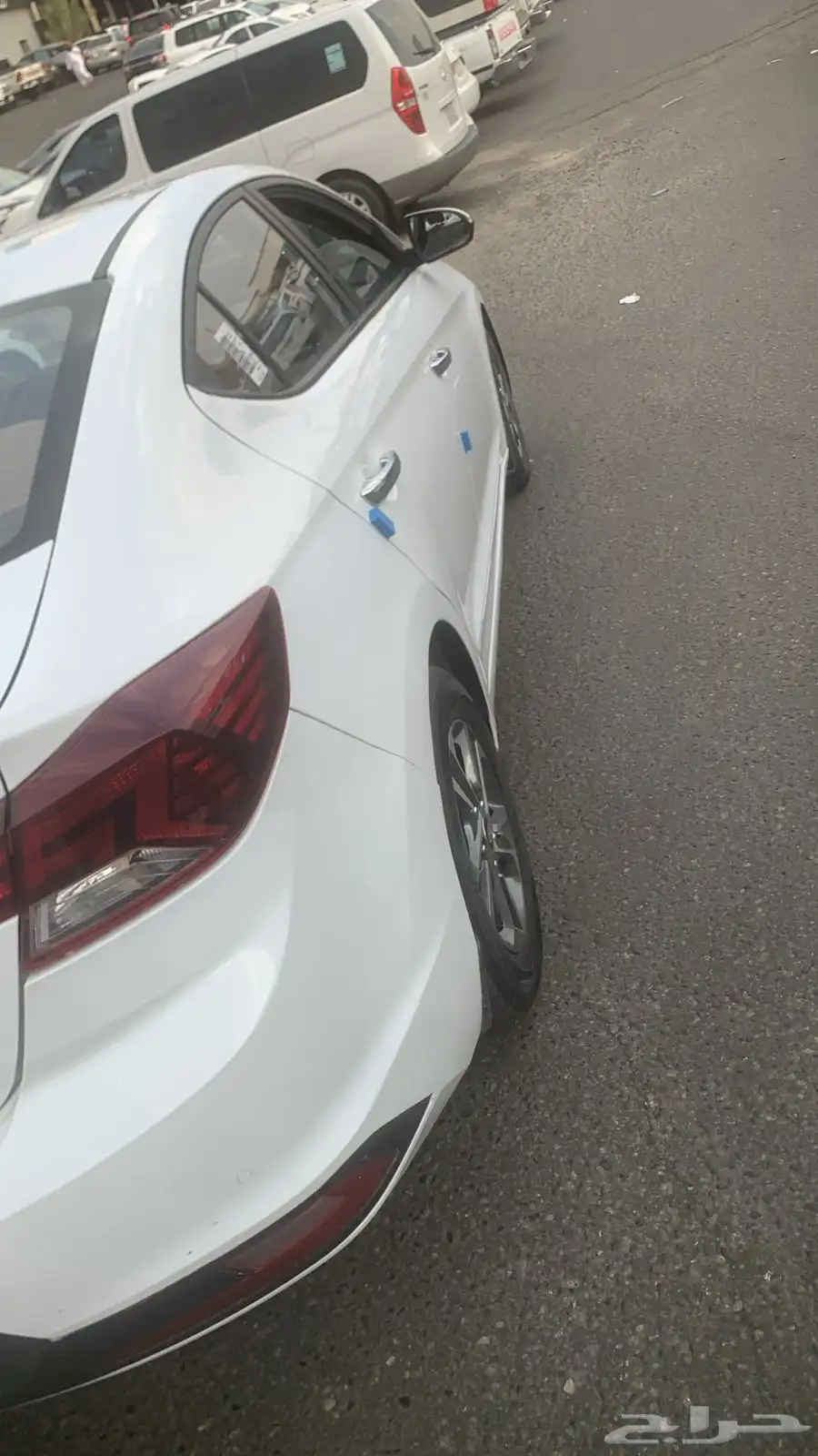 النترا مديل 2019 1
