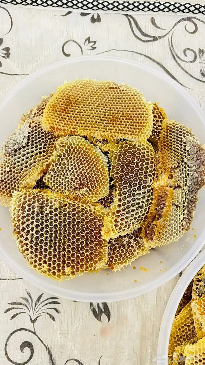 عسل سمر وشمع طلحه 1