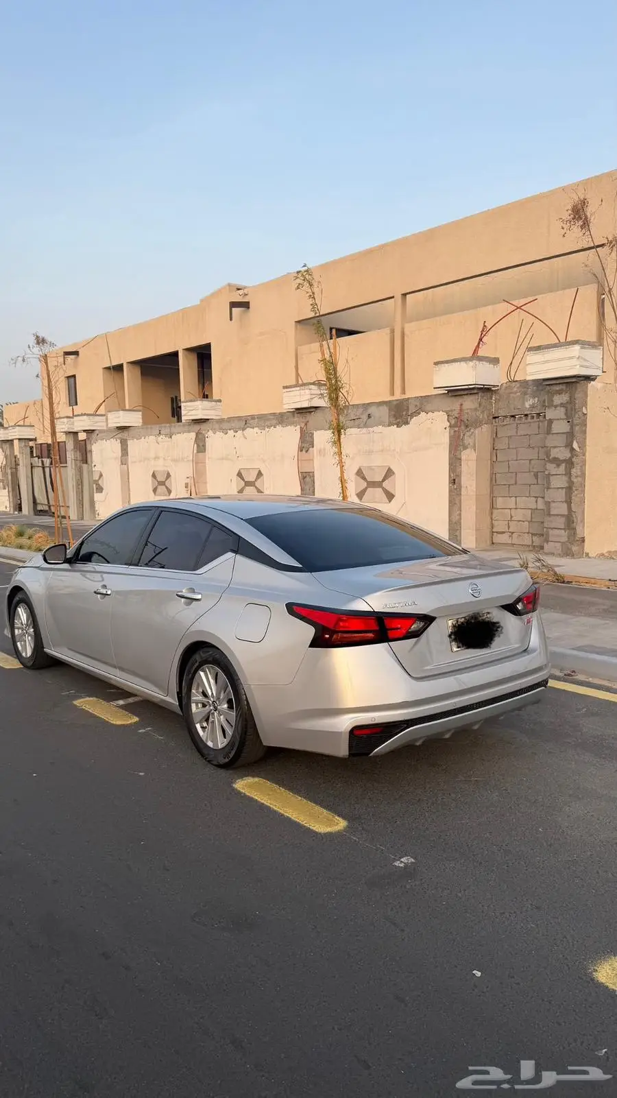 التيما 2020 ستاندر 3