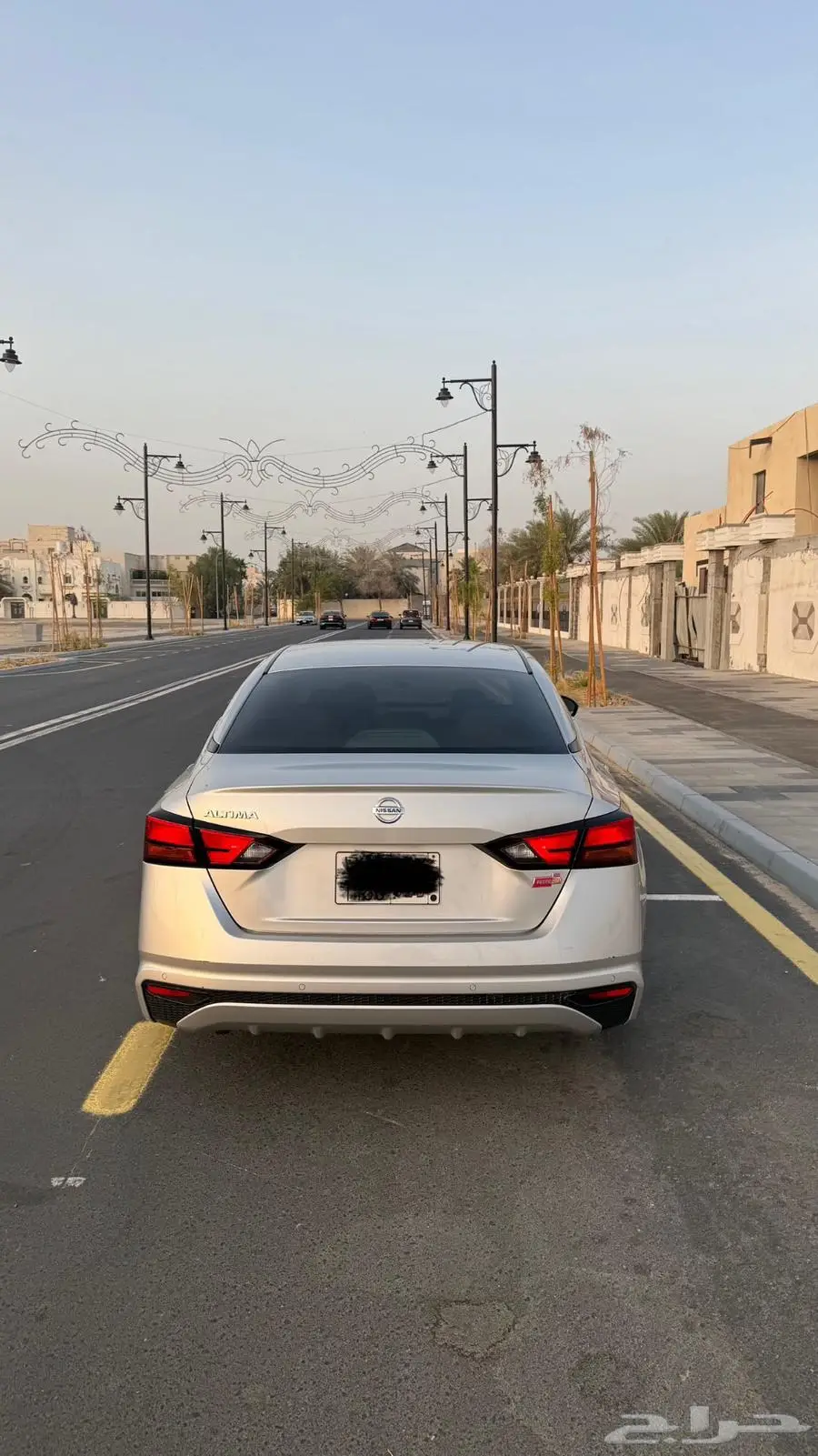 التيما 2020 ستاندر 4