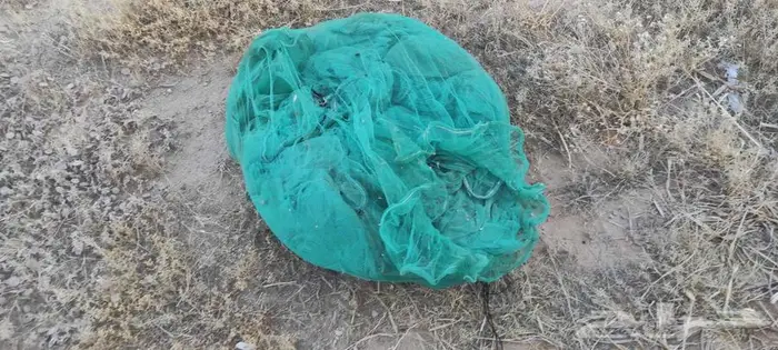 أغطية ثمرة نخيل 2