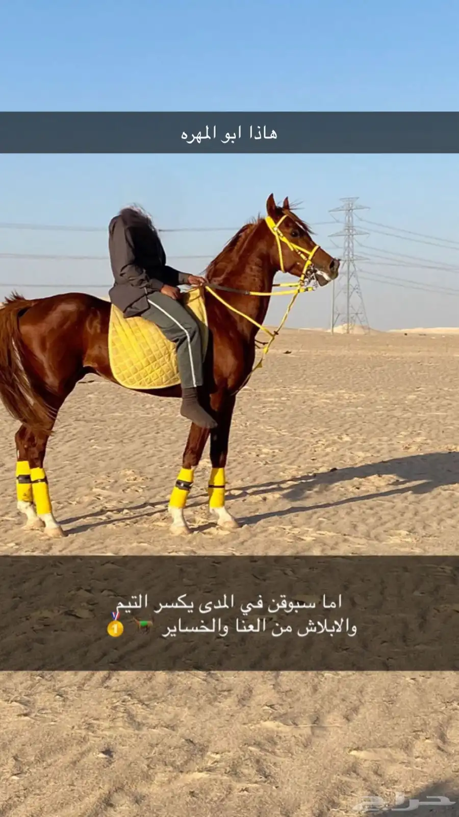 فرس شعبيه للبيع مع بنتها 1