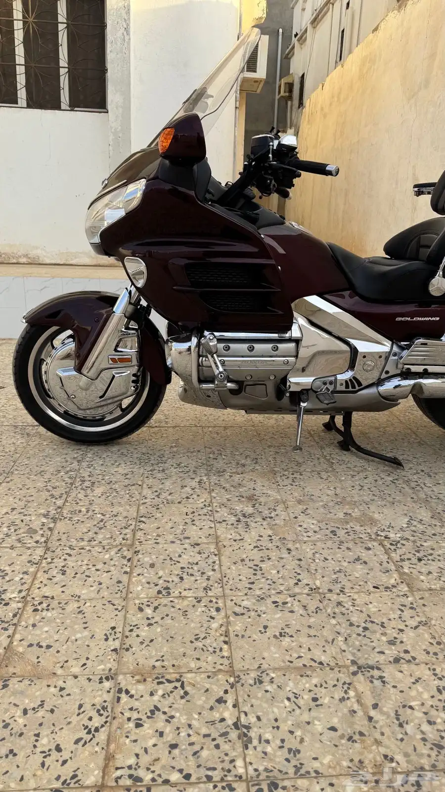 القنفذة 5