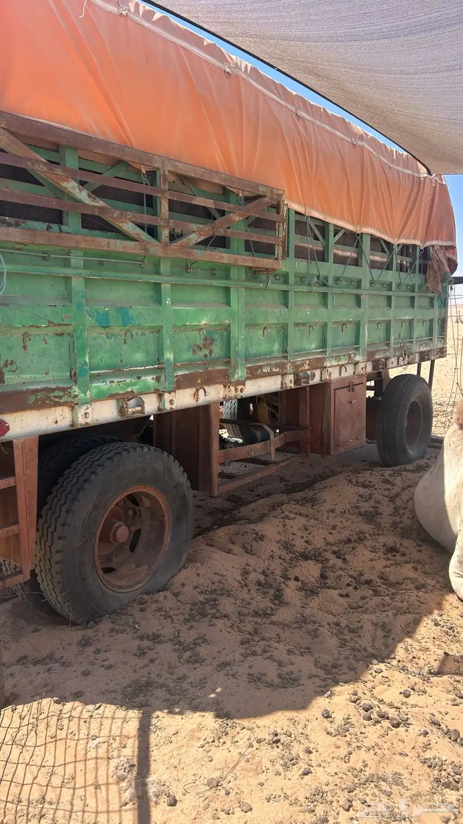 للبيع قلص الطول 6 العرض 3 ونص تقريبن كفارات نص عمر 0