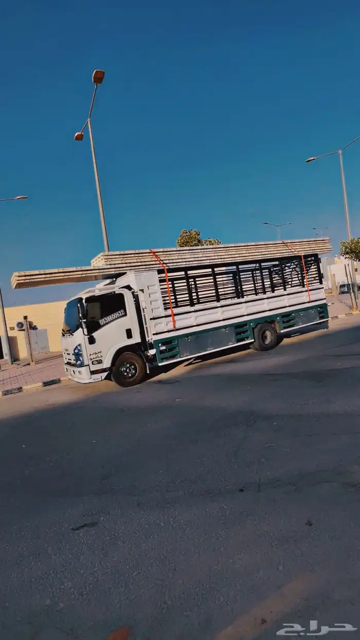 دينا 6 متر للنقل داخلي وخارجي 3