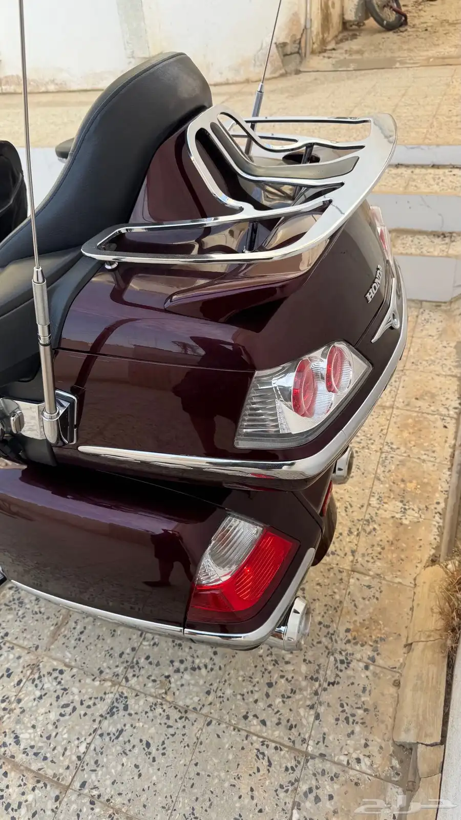 القنفذة 12