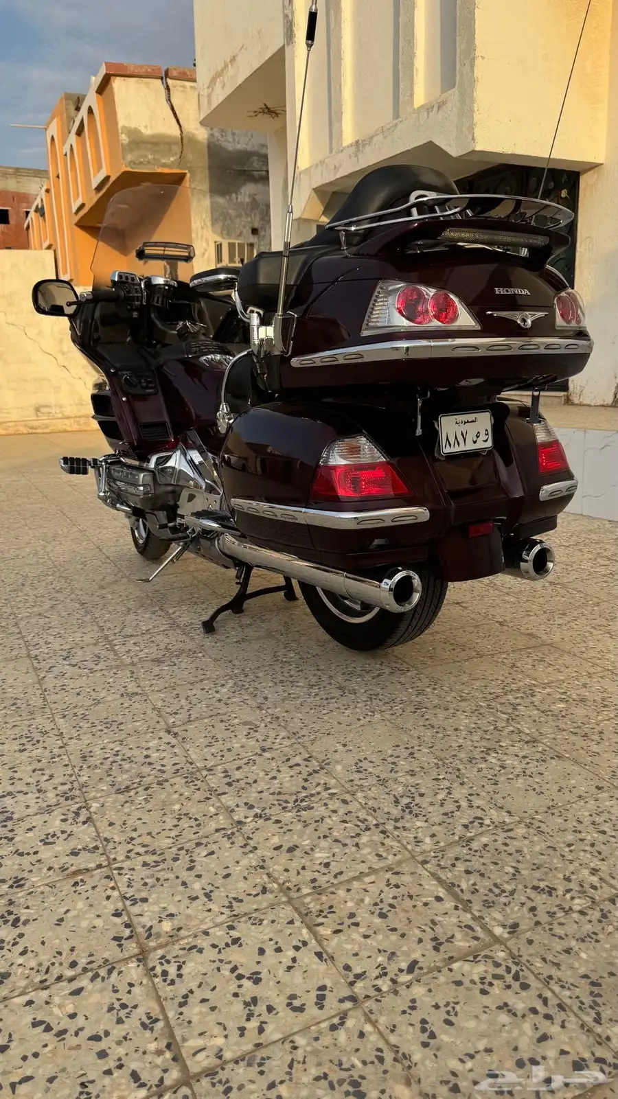القنفذة 17