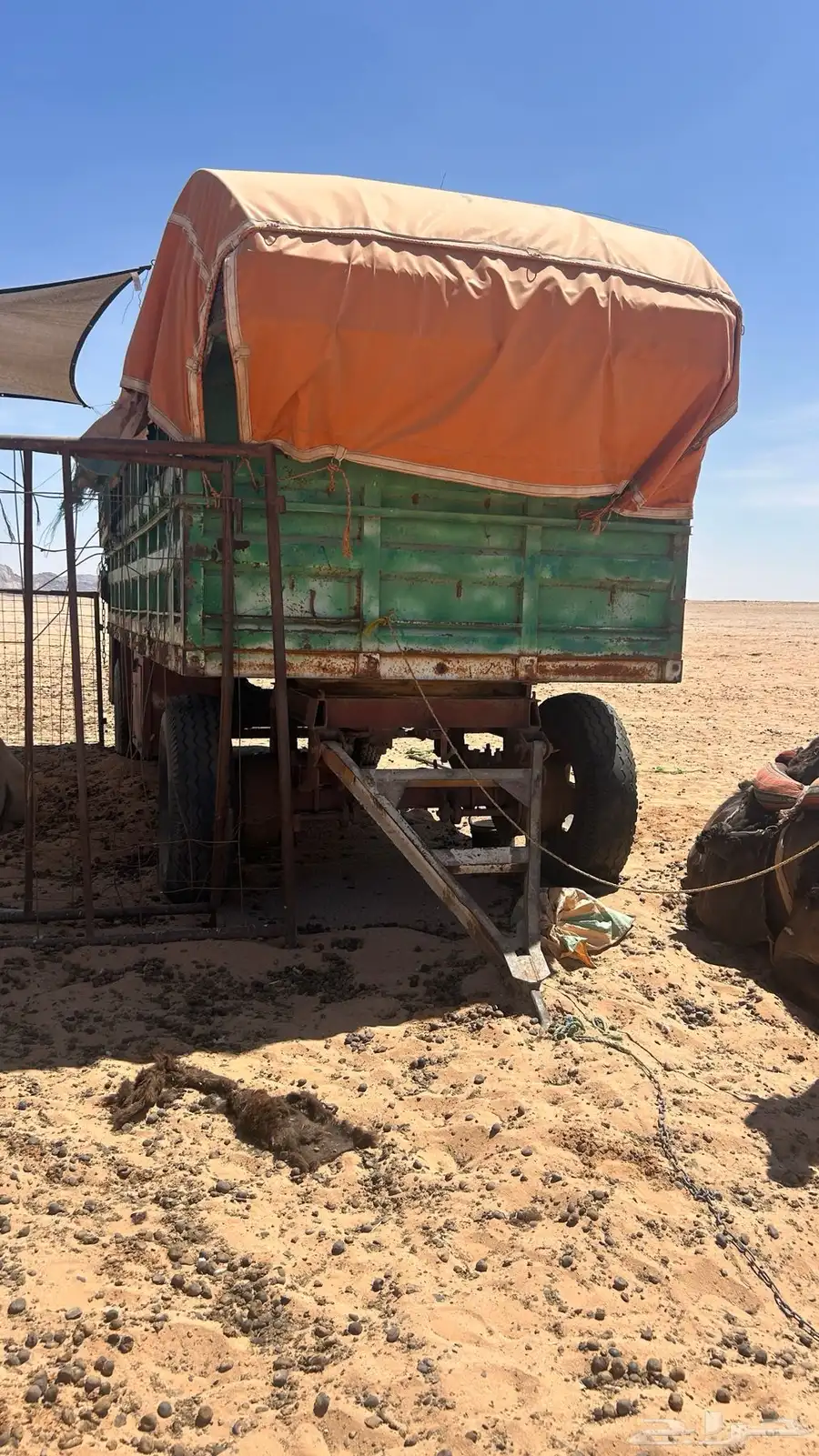 للبيع قلص الطول 6 العرض 3 ونص تقريبن كفارات نص عمر 3