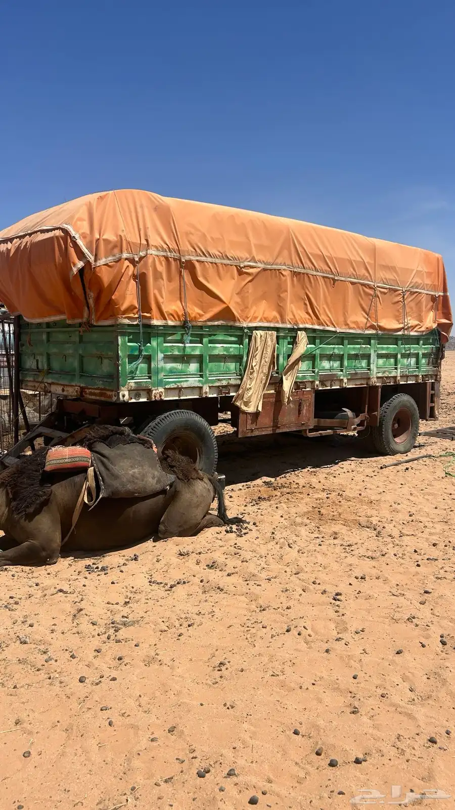 للبيع قلص الطول 6 العرض 3 ونص تقريبن كفارات نص عمر 1