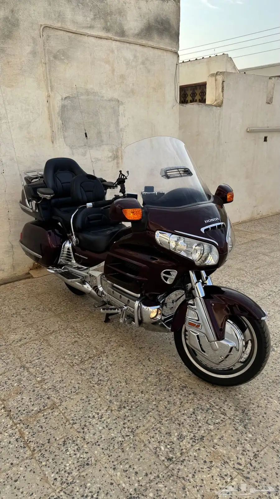 القنفذة 1