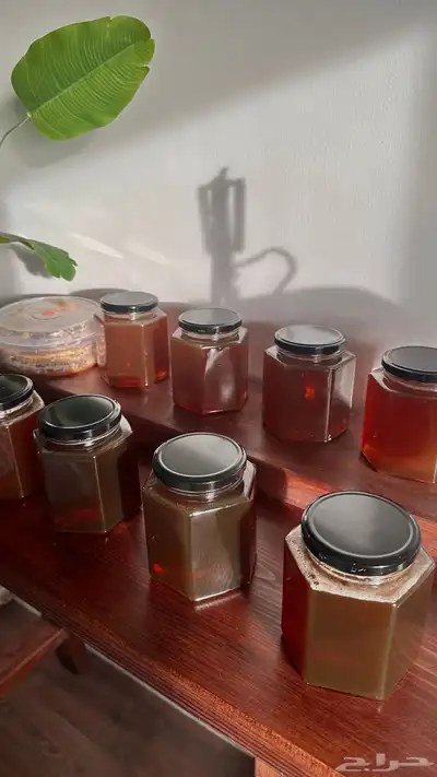 عسل طلحة وعسل سدرة 2