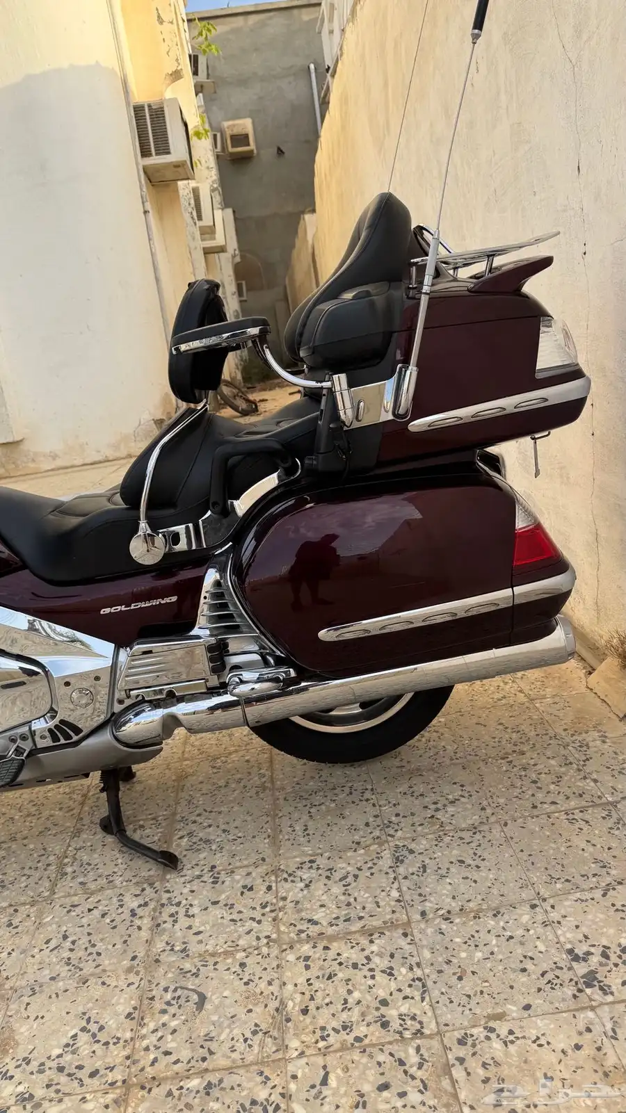 القنفذة 4