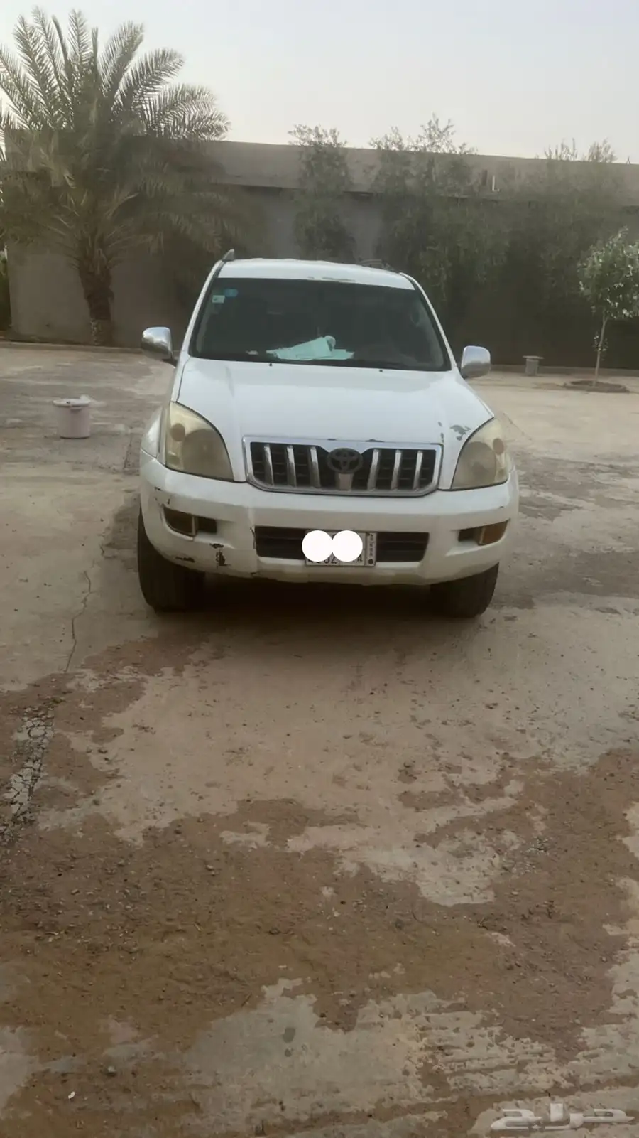 برادو 2006 1
