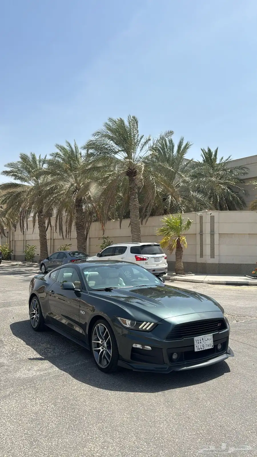 موستنق 3